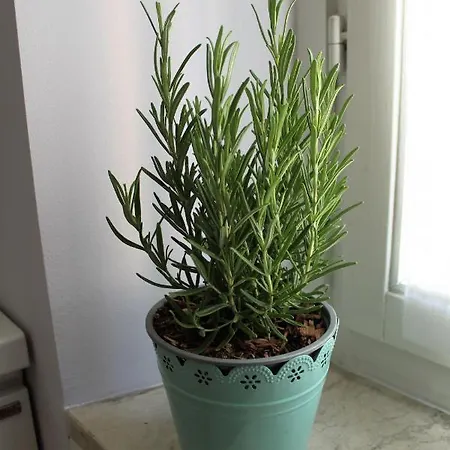 Apartament Squisito In Stabile Vecchia Mediolan