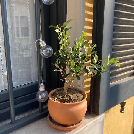 Apartament Squisito In Stabile Vecchia *